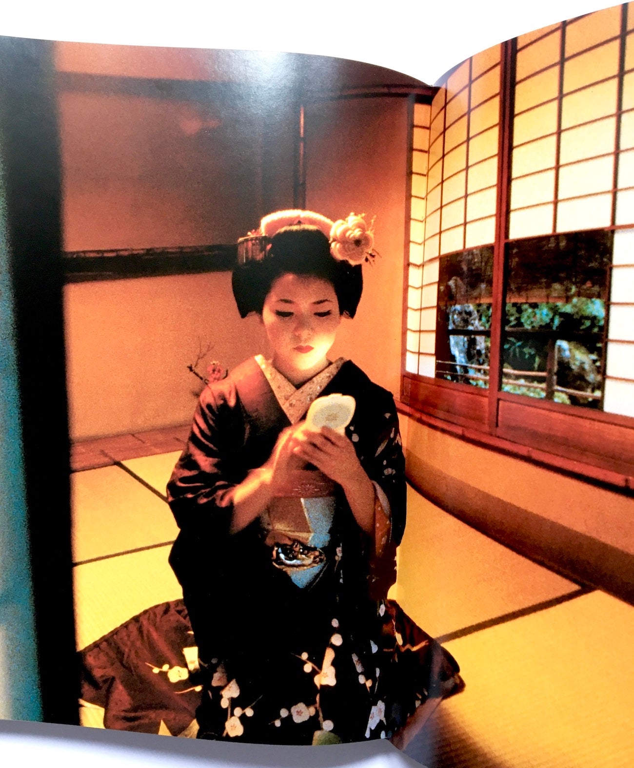 NIPPON „DER NEUE SUPERSTAAT“