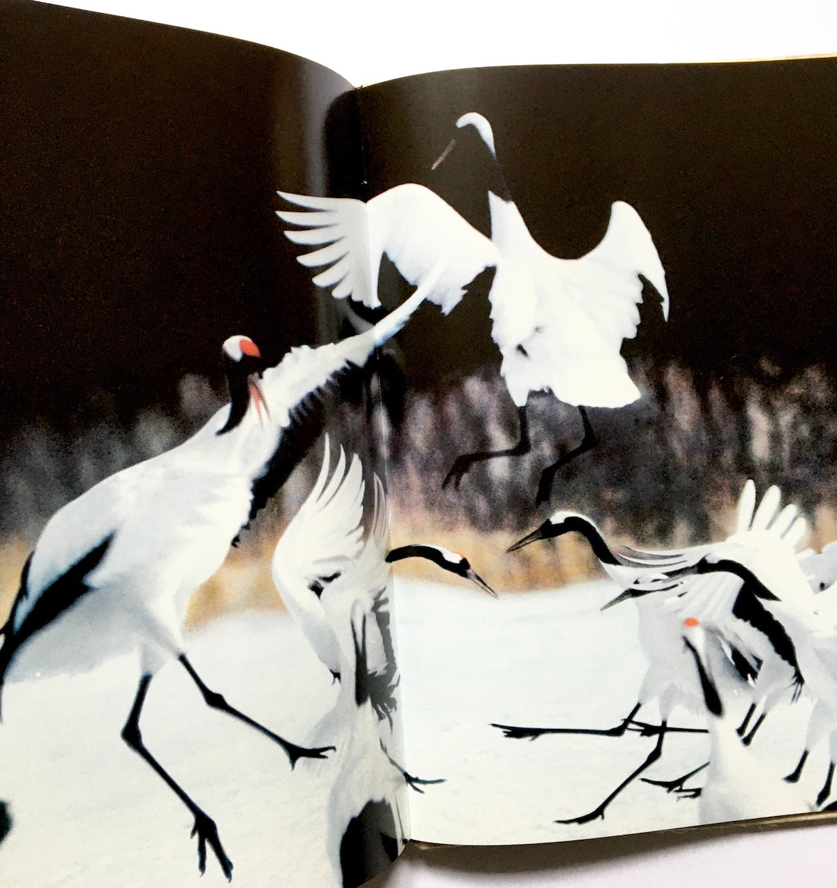 NIPPON „DER NEUE SUPERSTAAT“