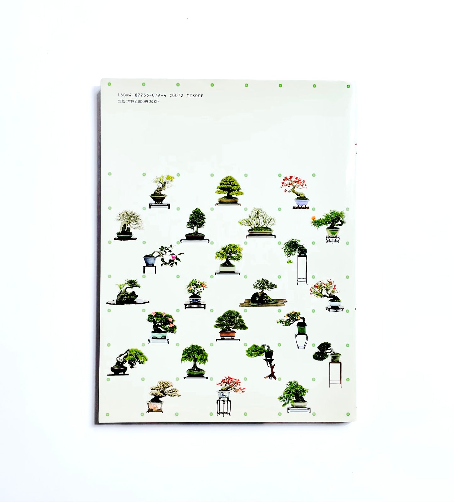 THE MODERN BONSAI: 盆栽宇宙