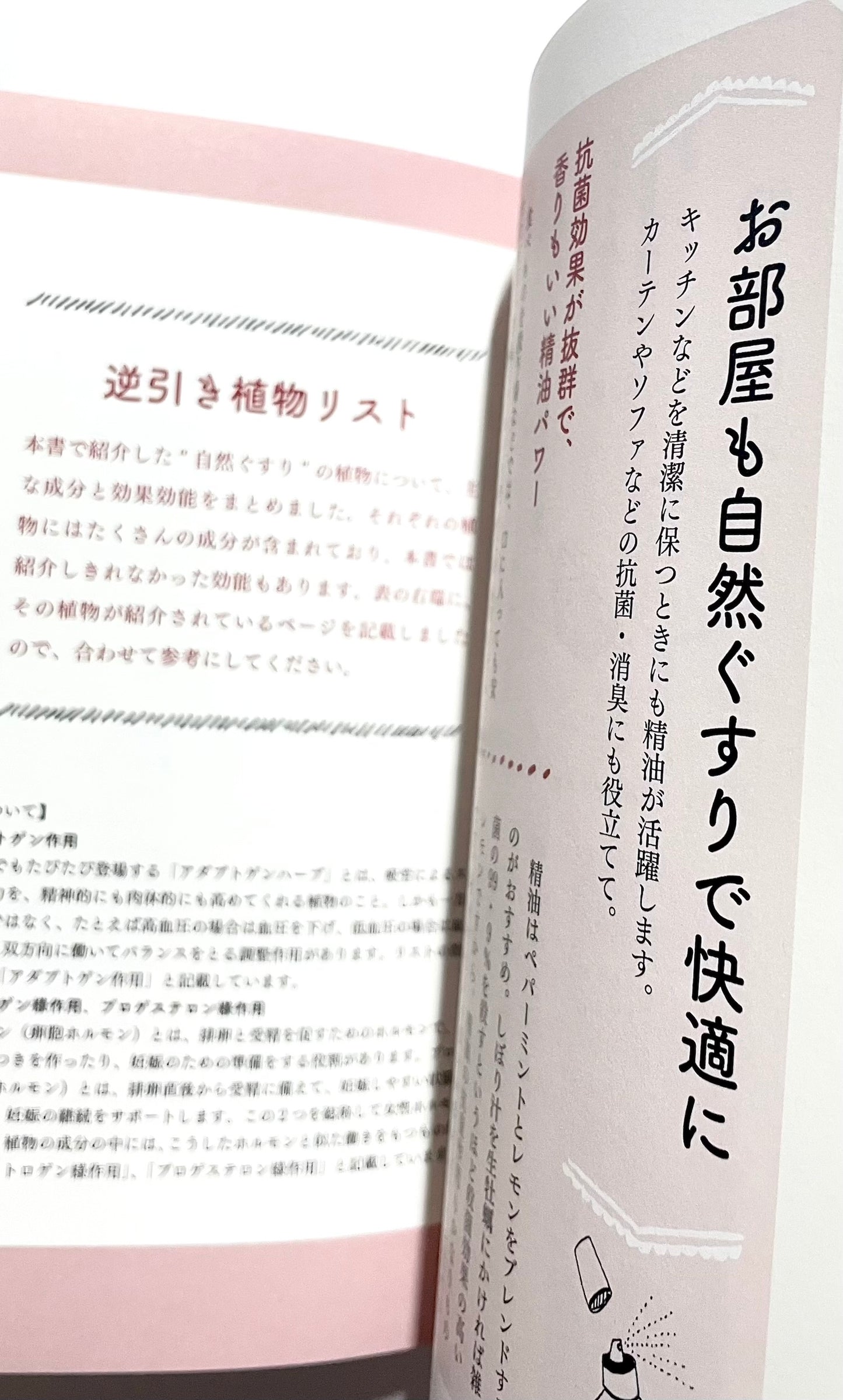 自然ぐすり - 植物や食べものの手当てでからだとこころの不調をととのえる  (正しく暮らすシリーズ)