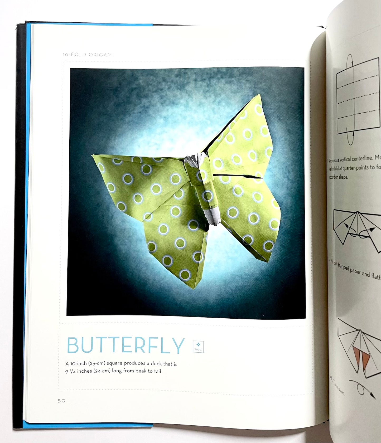 10-Fold Origami: Fabulous Paperfolds You Can Make in Just 10 Steps!: Origami Book with 26 Projects: Perfect for Origami Beginners, Children or Adults