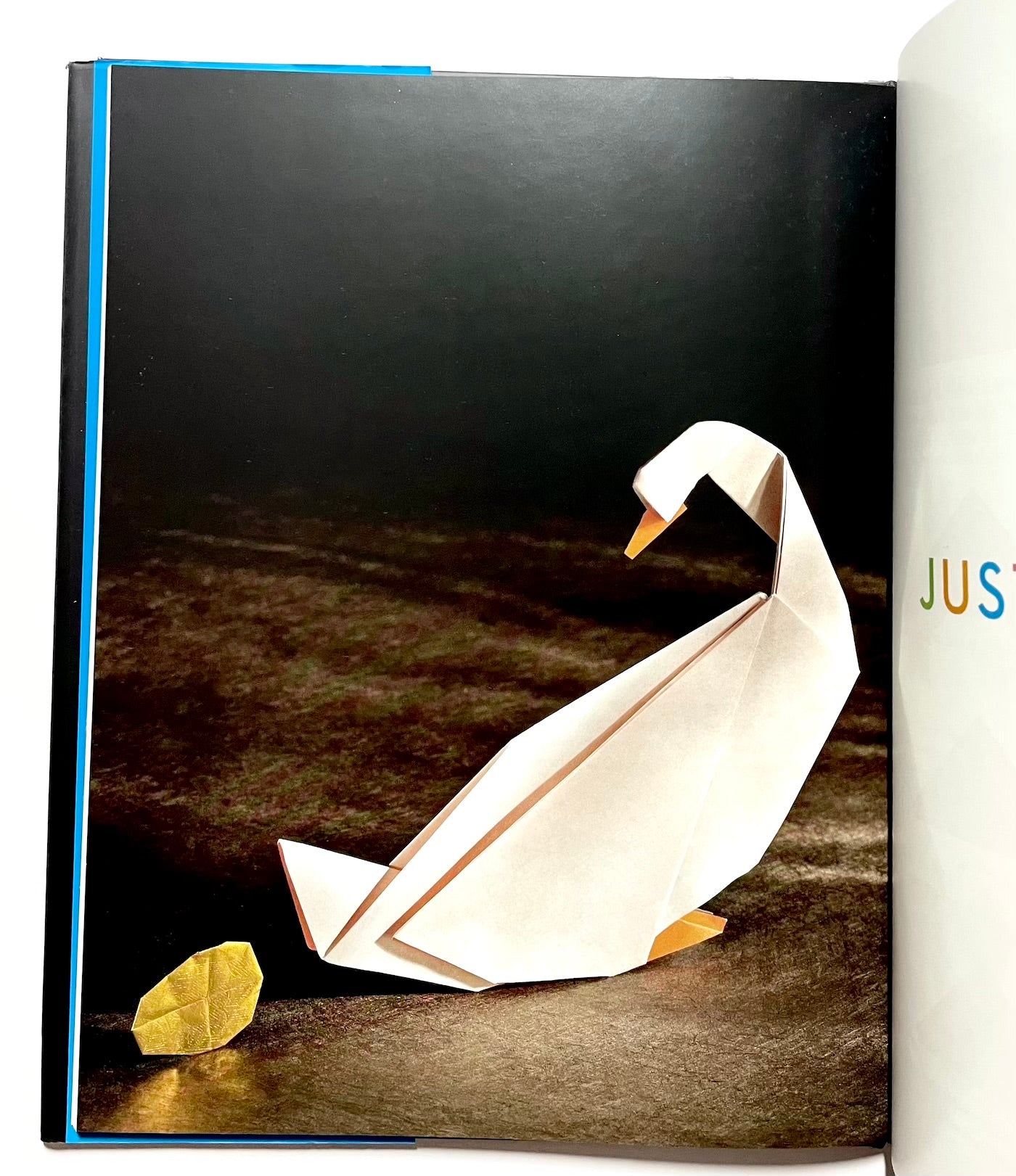 10-Fold Origami: Fabulous Paperfolds You Can Make in Just 10 Steps!: Origami Book with 26 Projects: Perfect for Origami Beginners, Children or Adults