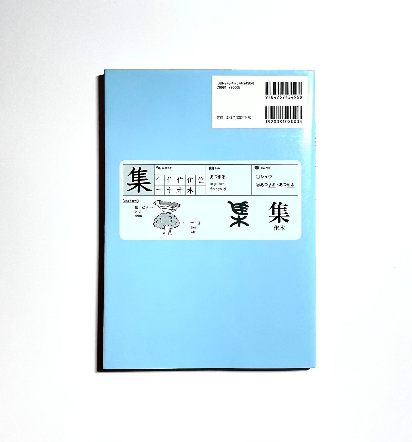 KANJI FOR BEGINNERS : Twenty-Four Tips toward Mastery / 漢字ビギナーズ 24の法則でわかる!