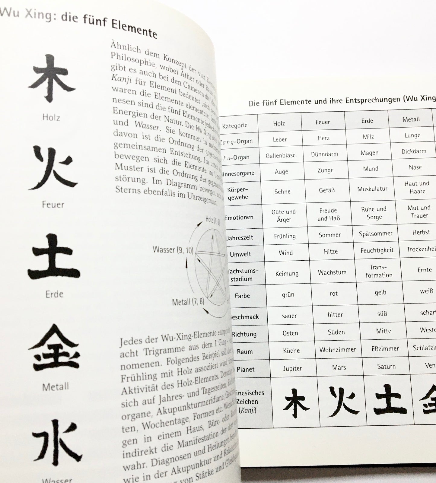 Feng Shui - Harmonie zwischen Himmel und Erde