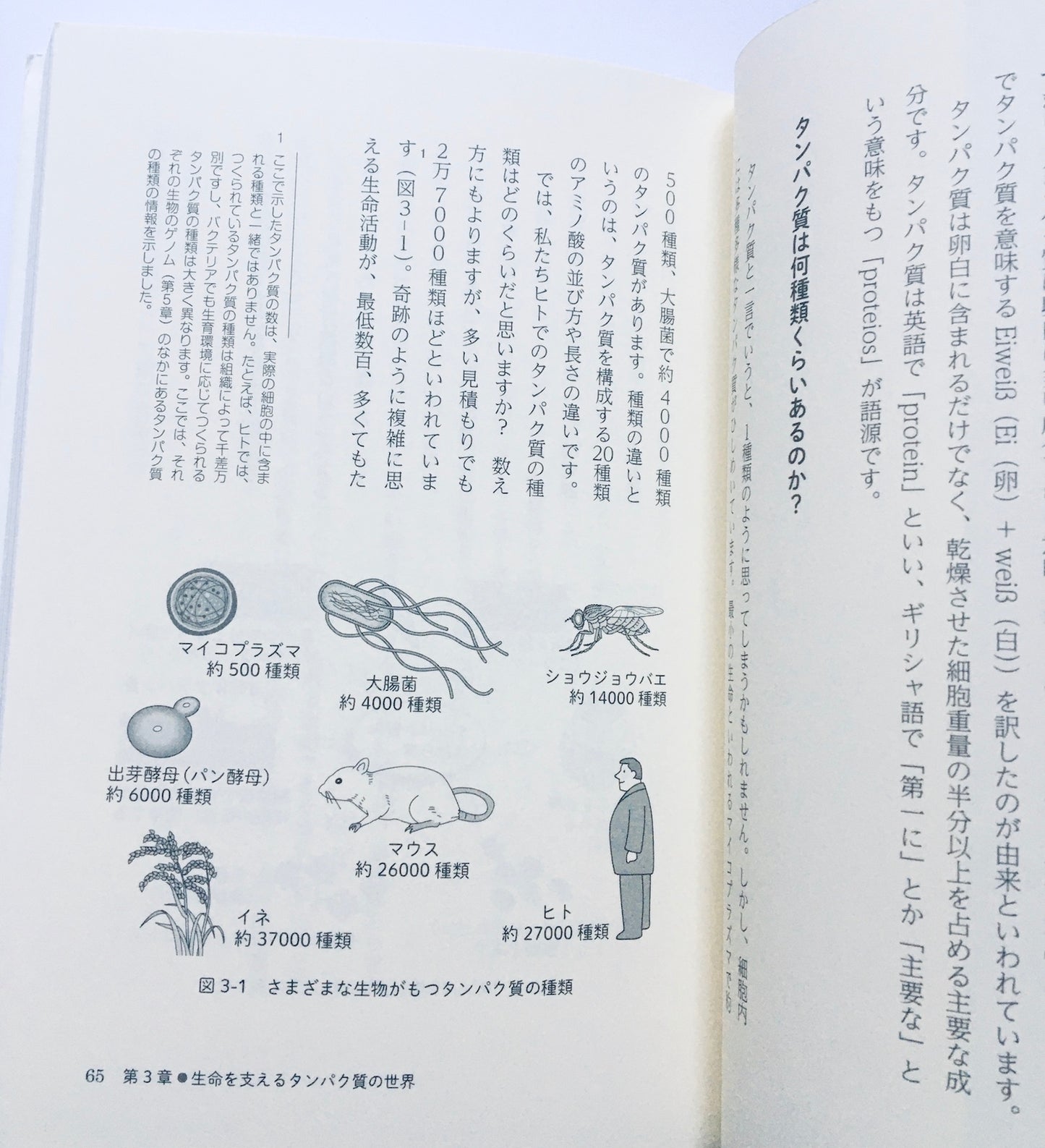 学んでみると生命科学はおもしろい