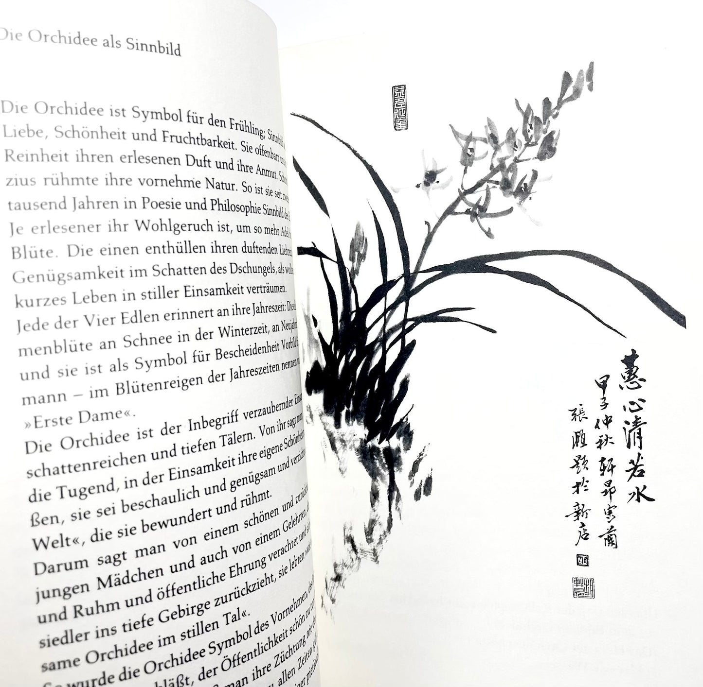 Die vier Edlen - Orchidee