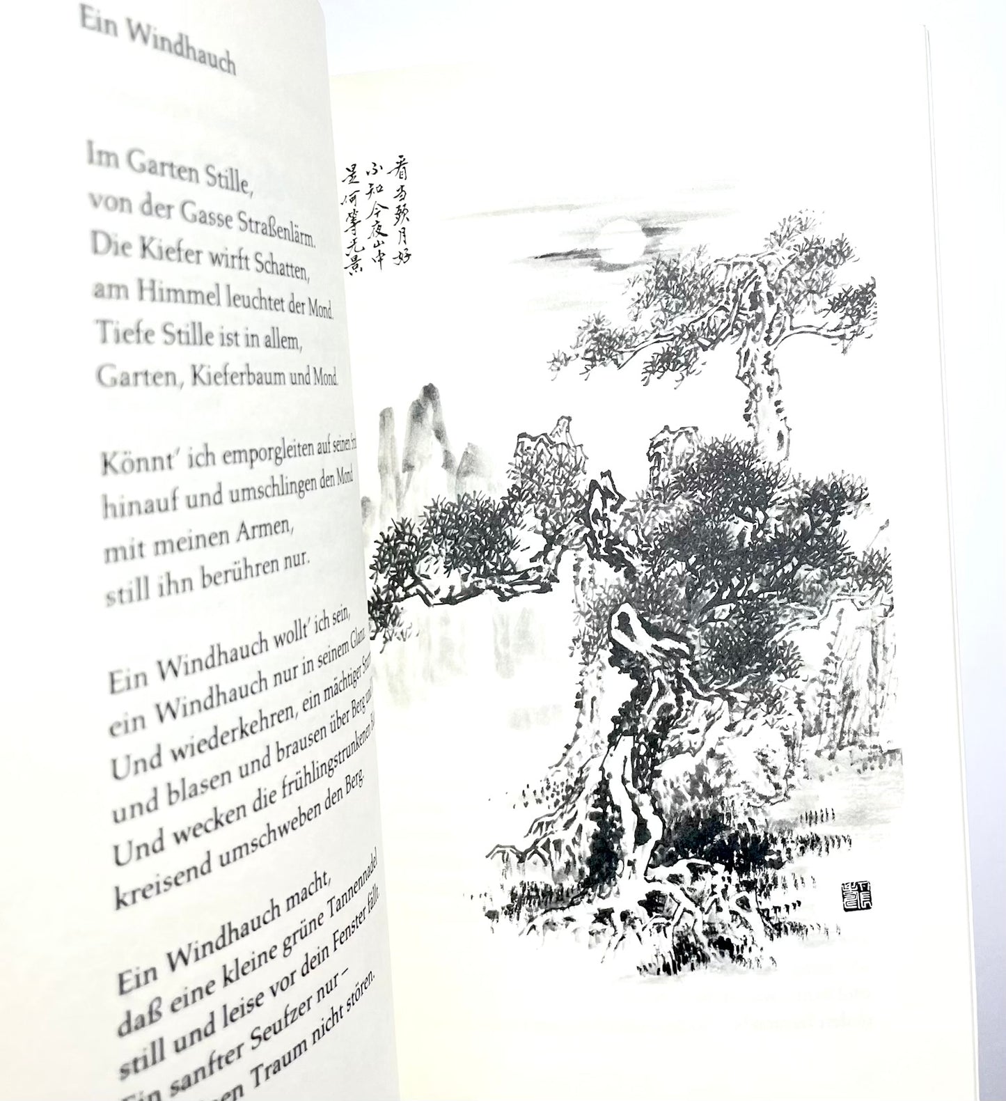 Die vier Edlen - Orchidee