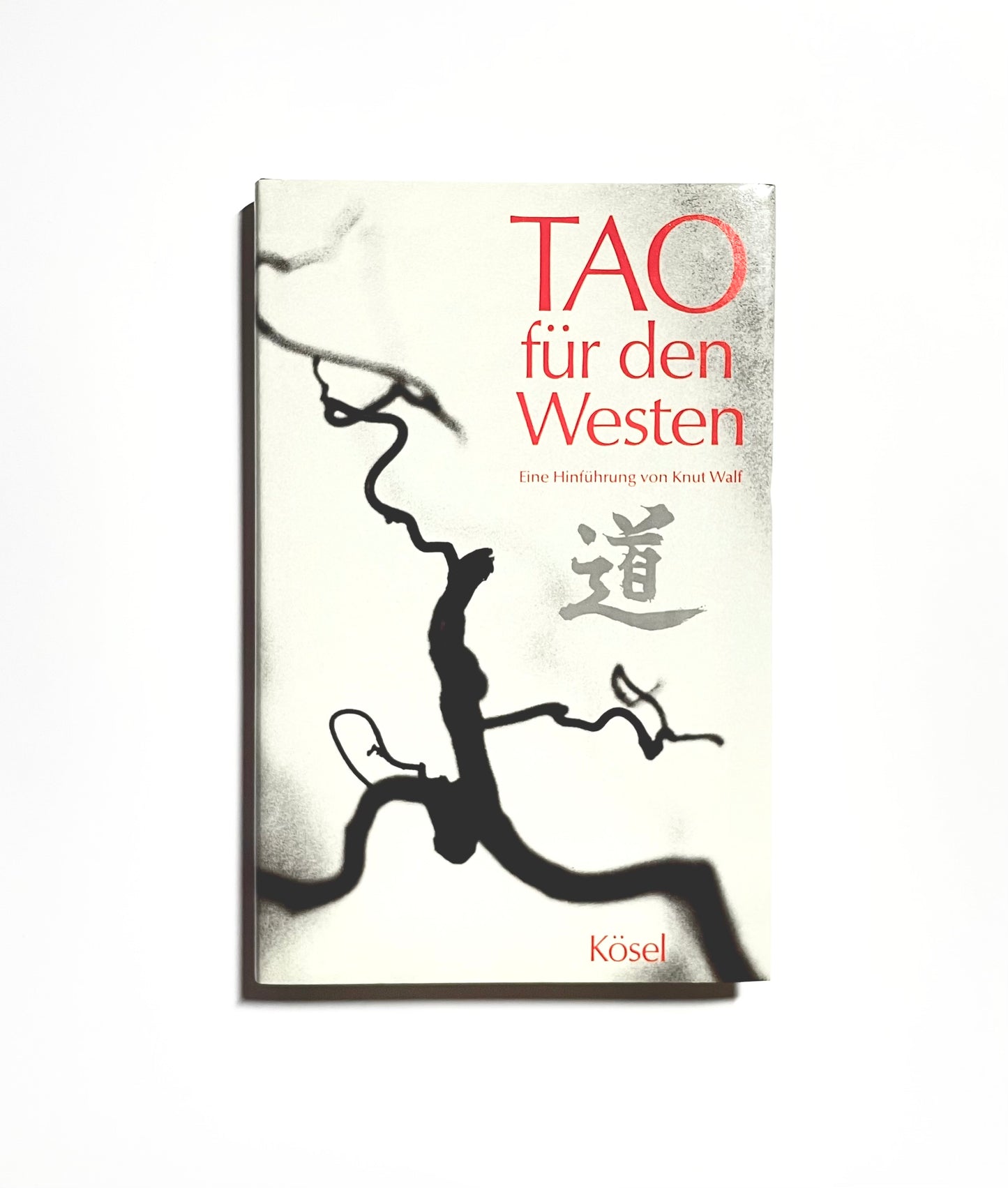 Tao für den Westen : Eine Hinführung