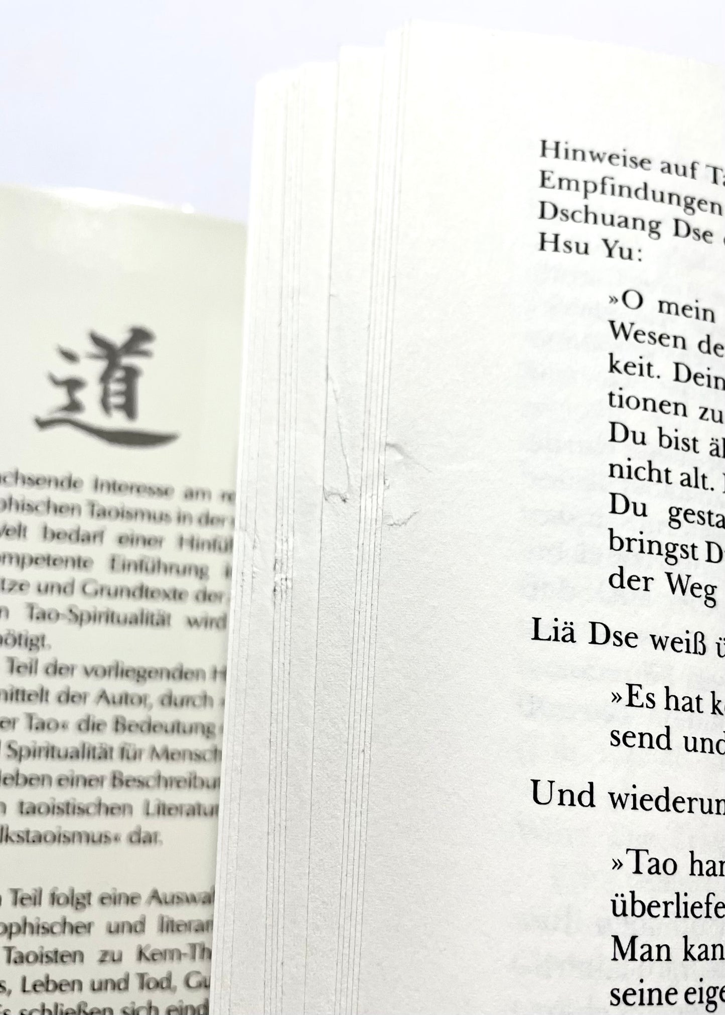 Tao für den Westen : Eine Hinführung