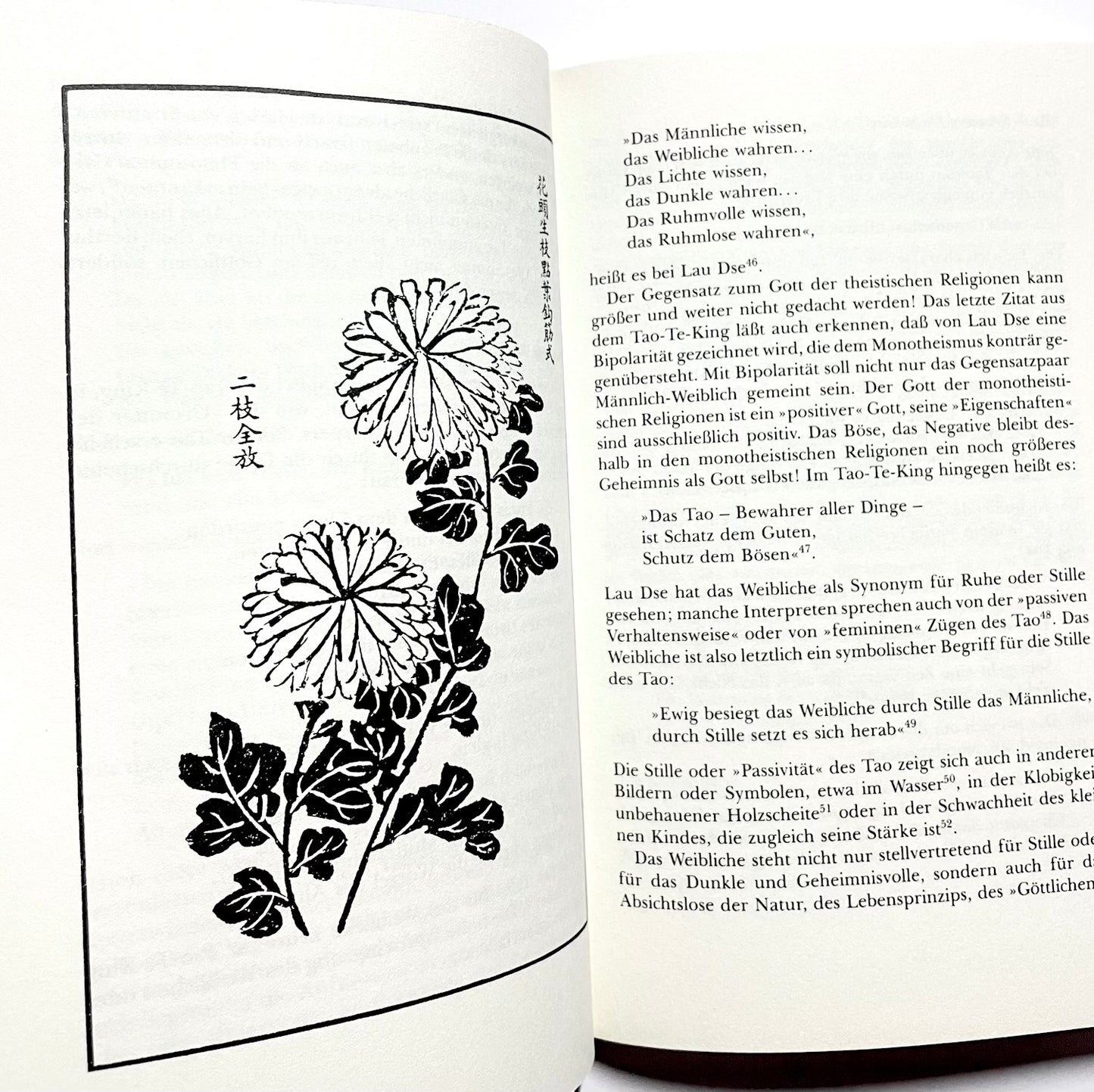 Tao für den Westen : Eine Hinführung