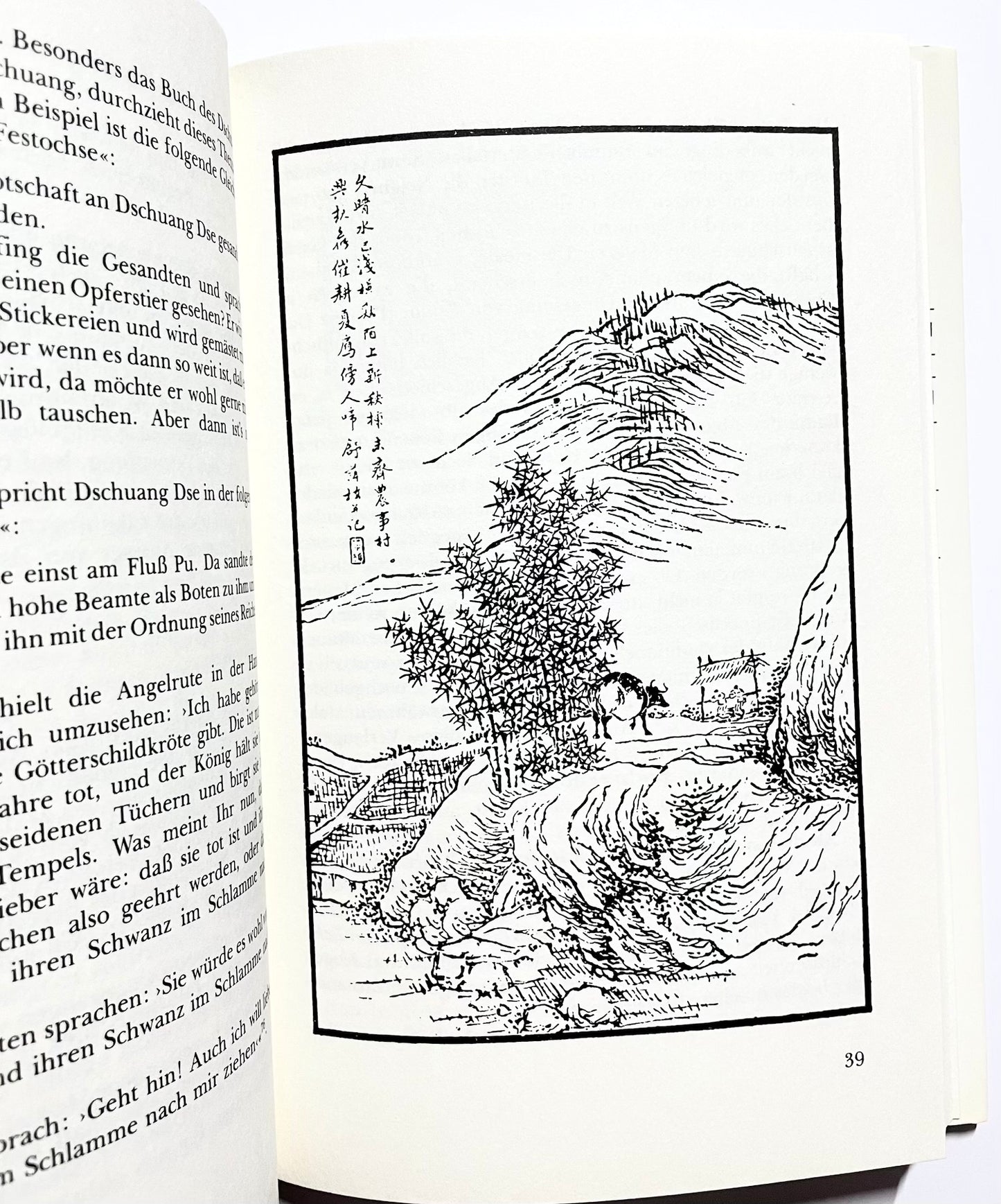 Tao für den Westen : Eine Hinführung