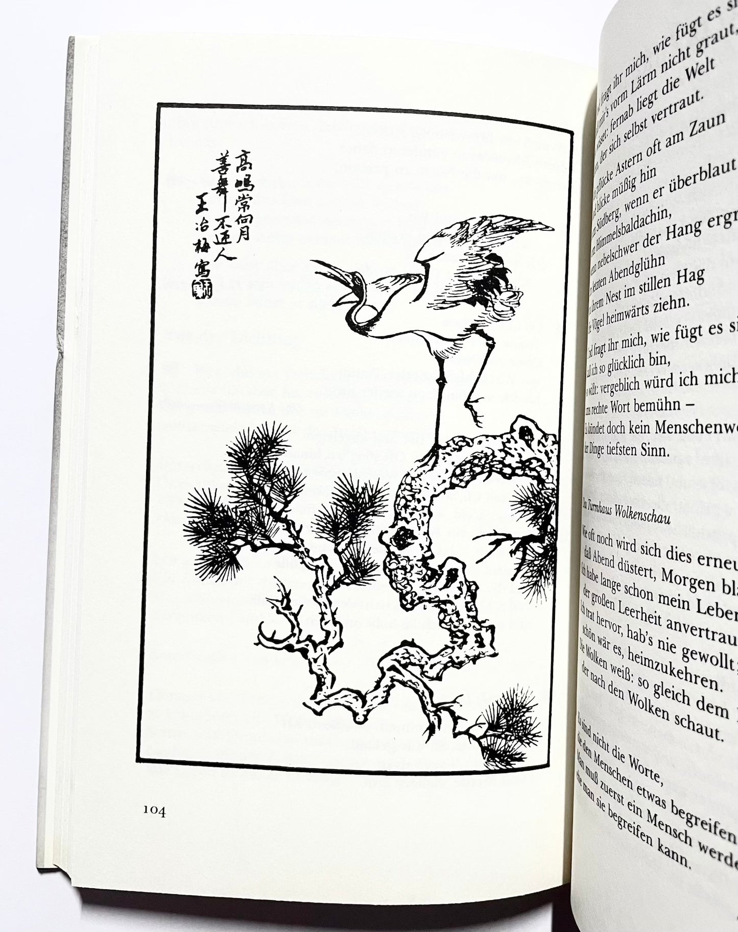 Tao für den Westen : Eine Hinführung