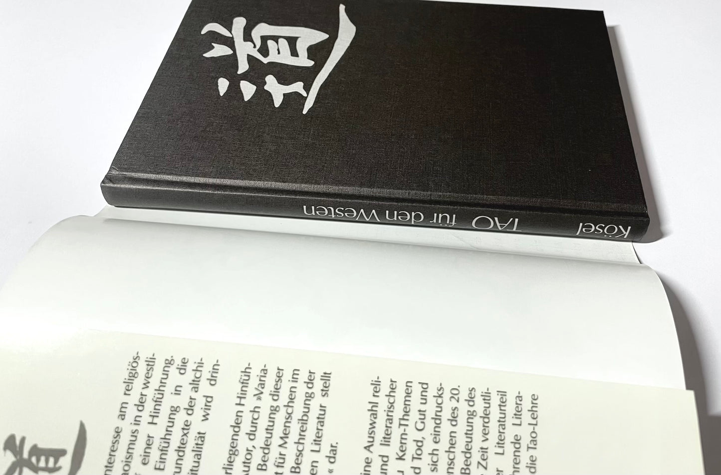 Tao für den Westen : Eine Hinführung