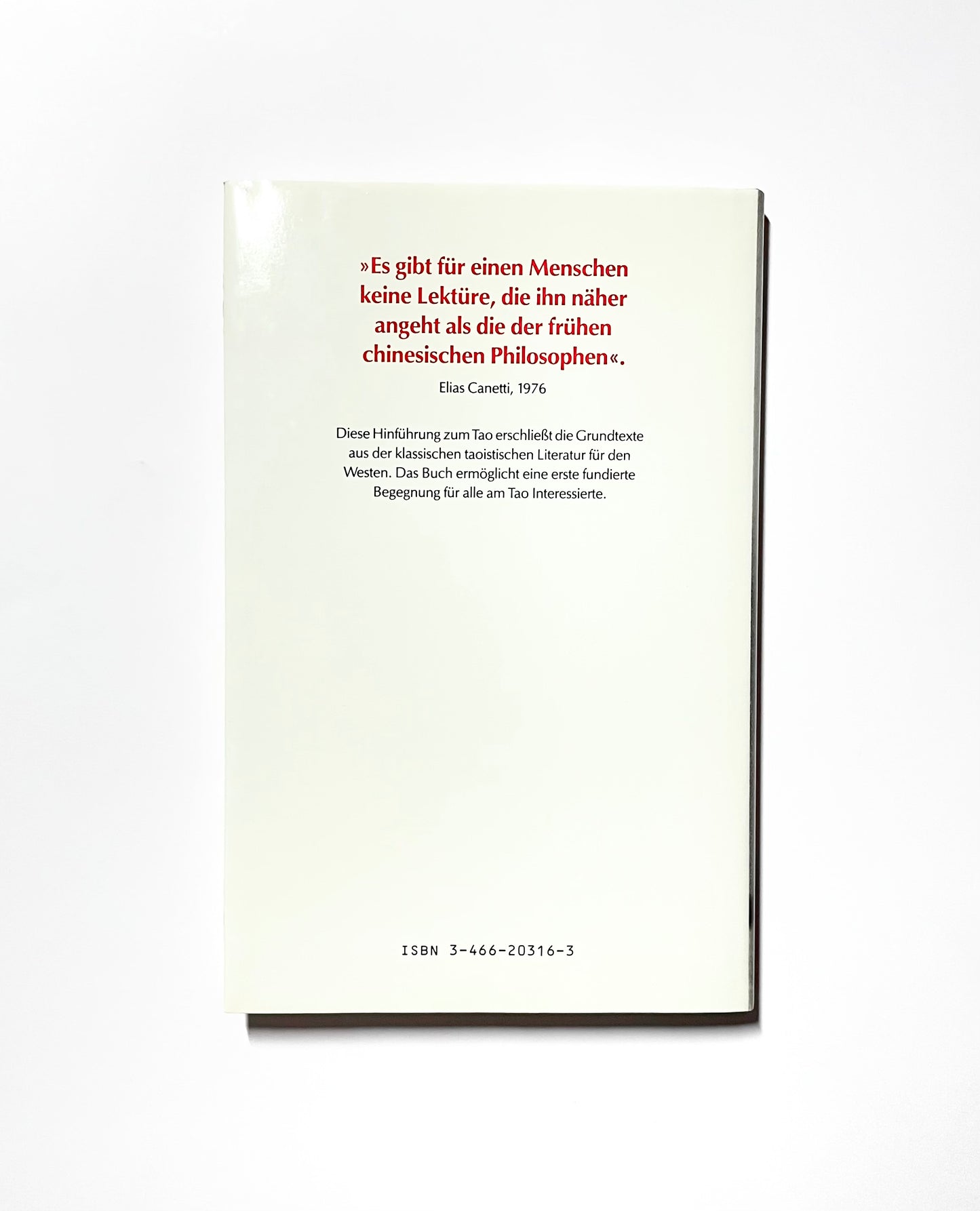 Tao für den Westen : Eine Hinführung