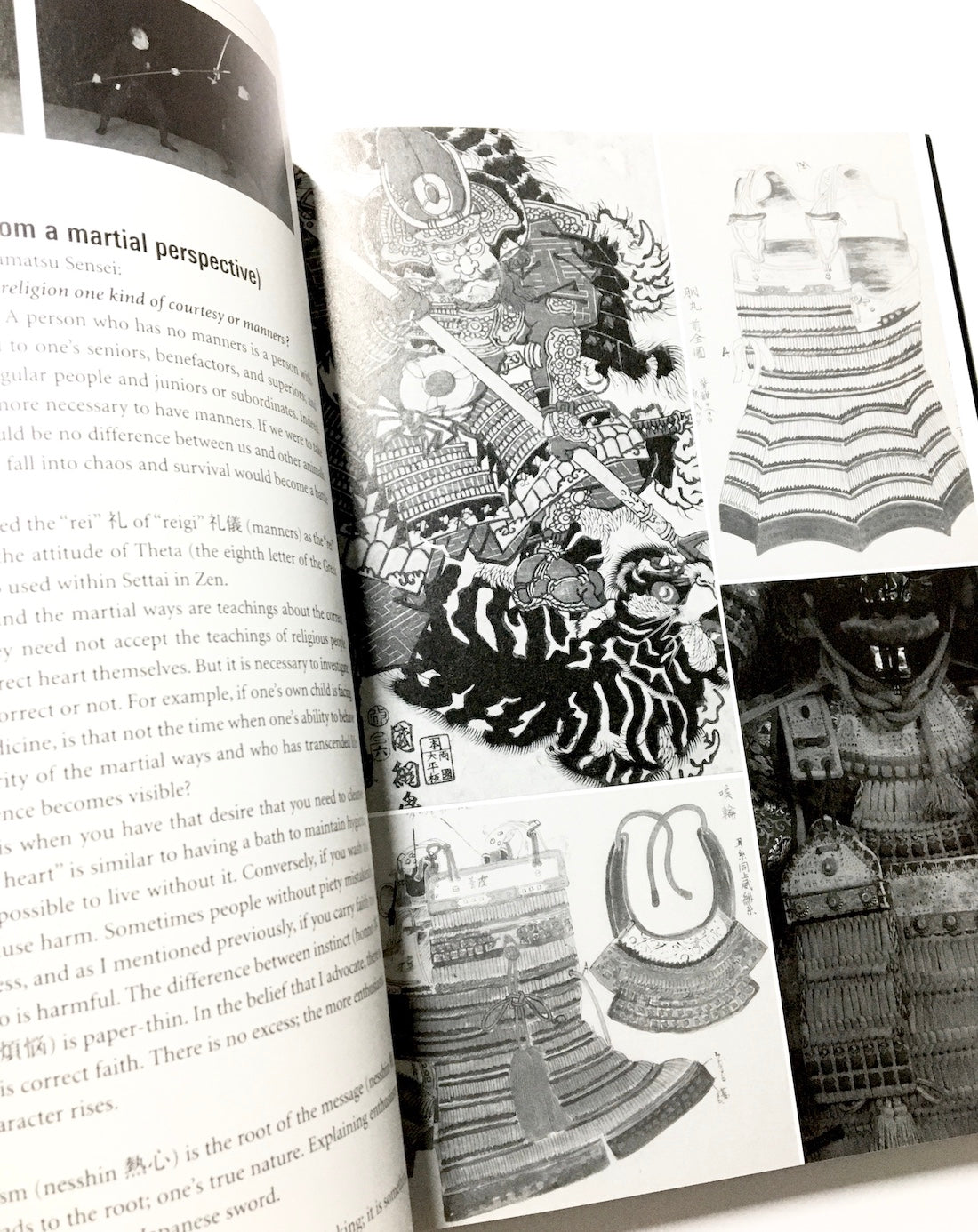 The Essence of Budo: The Secret Teachings of the Grandmaster