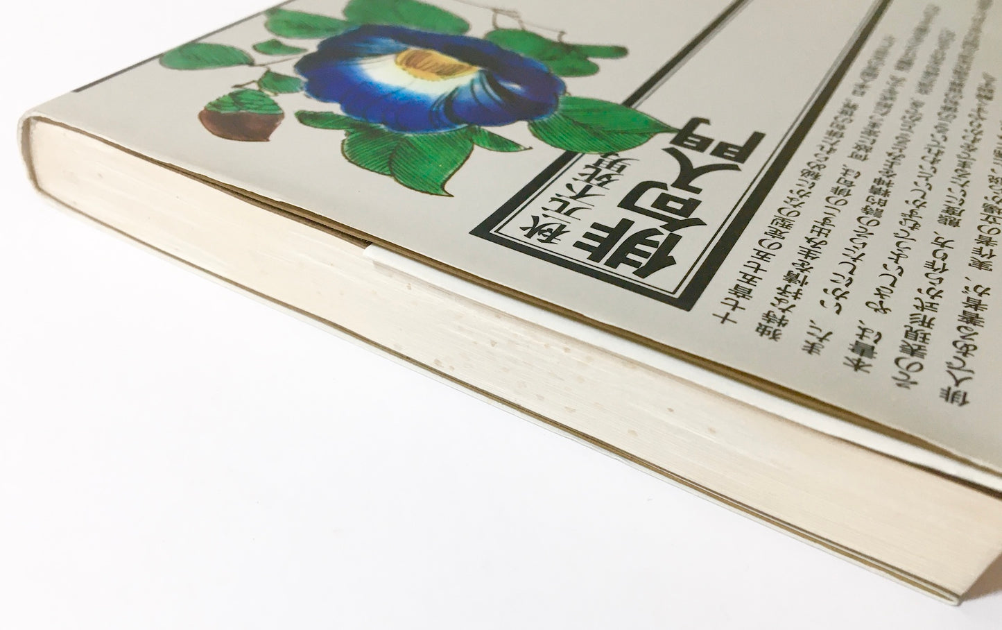 俳句入門 俳句のつくり方と鑑賞の手引き