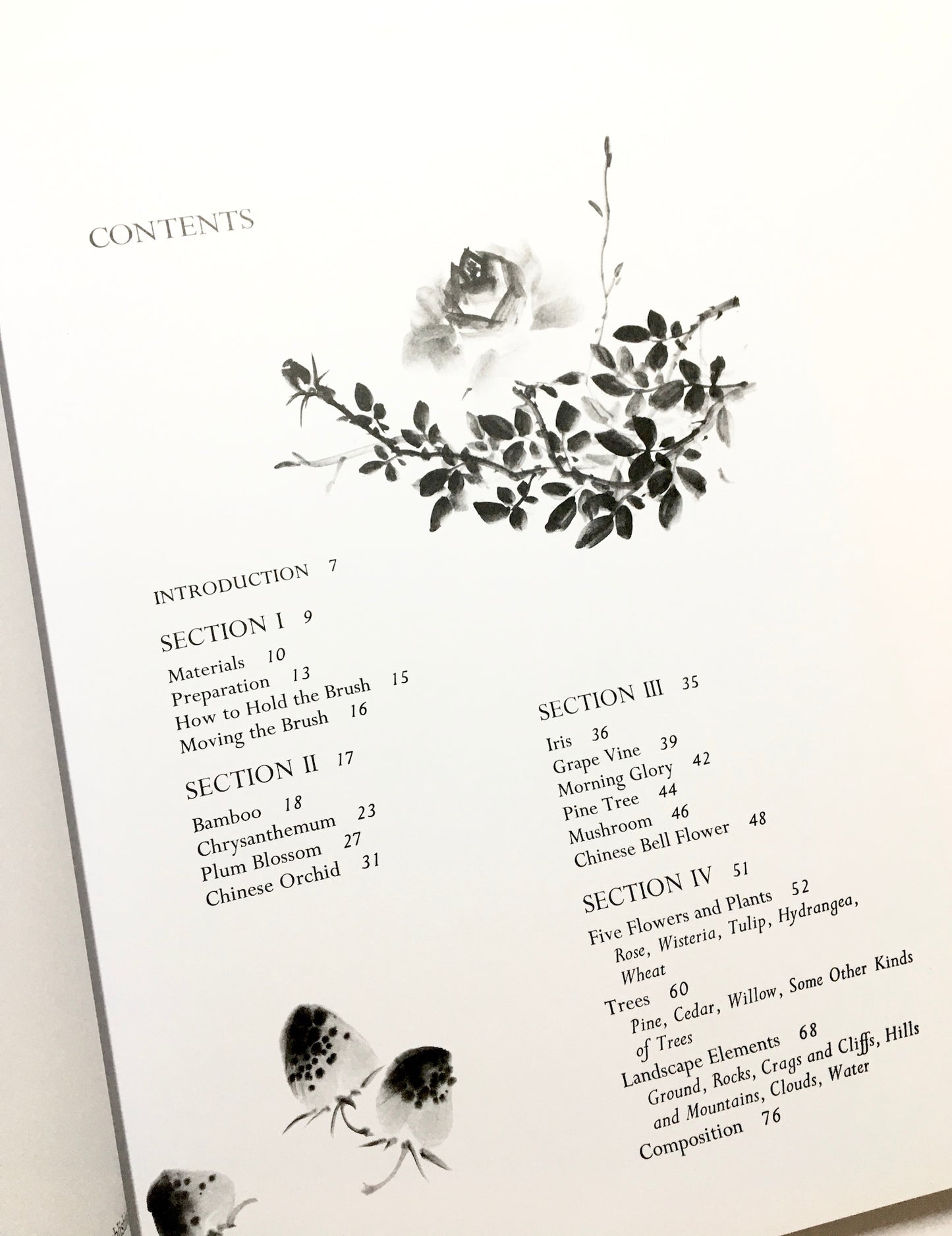 Sumi-E Just for You: Traditional One Brush Ink Painting