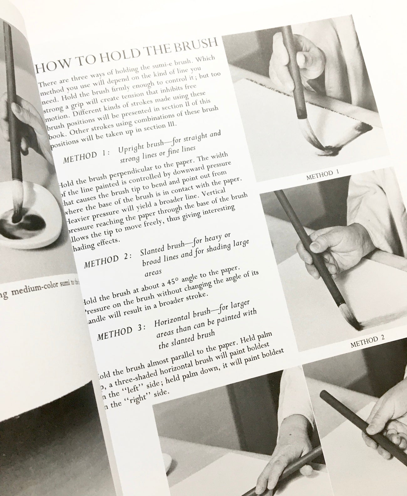 Sumi-E Just for You: Traditional One Brush Ink Painting