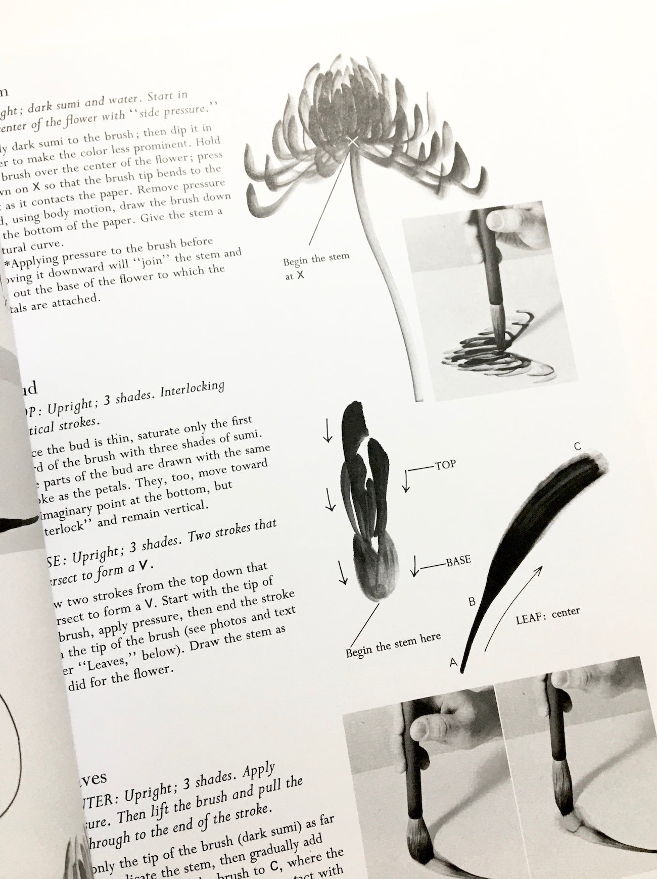 Sumi-E Just for You: Traditional One Brush Ink Painting