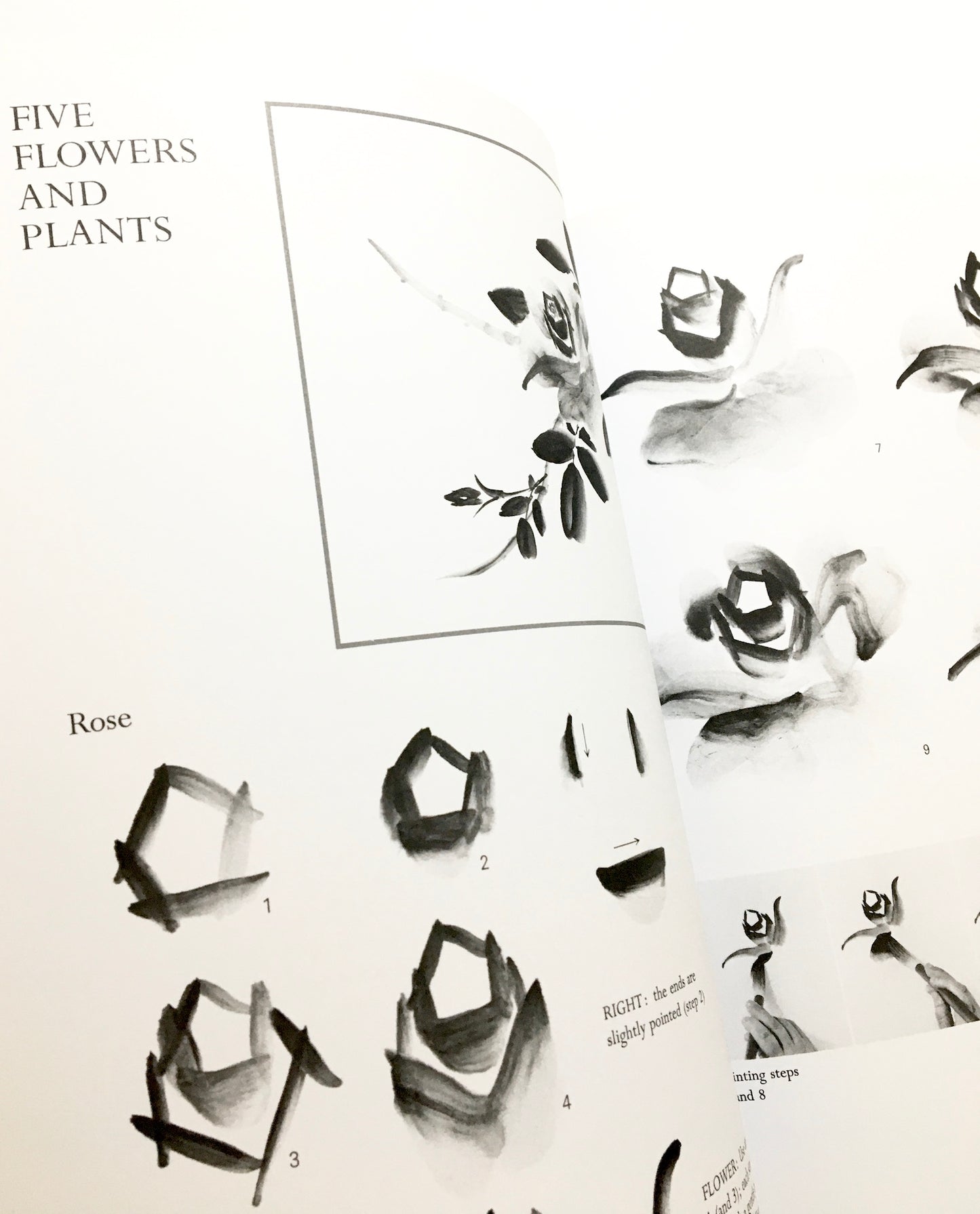 Sumi-E Just for You: Traditional One Brush Ink Painting