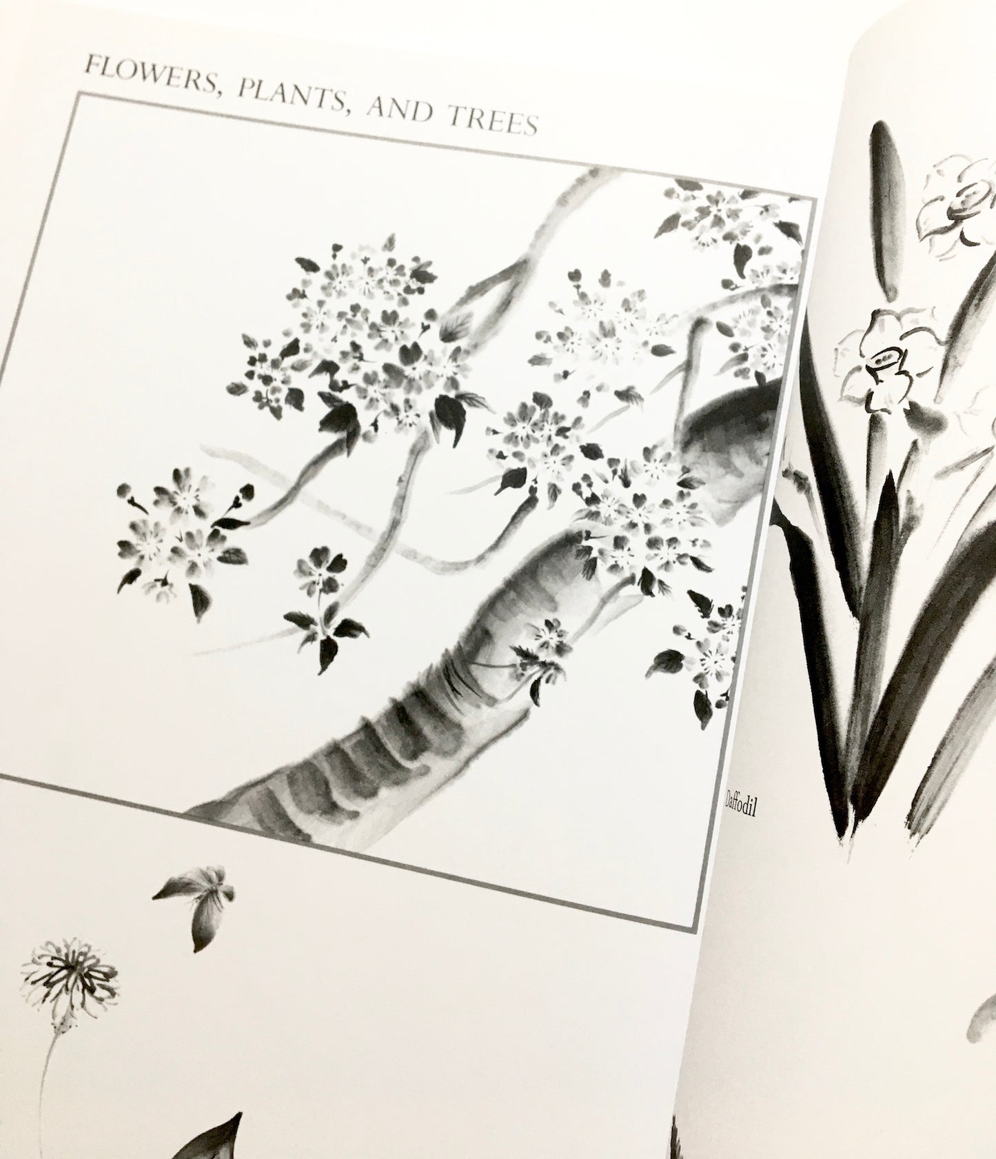 Sumi-E Just for You: Traditional One Brush Ink Painting