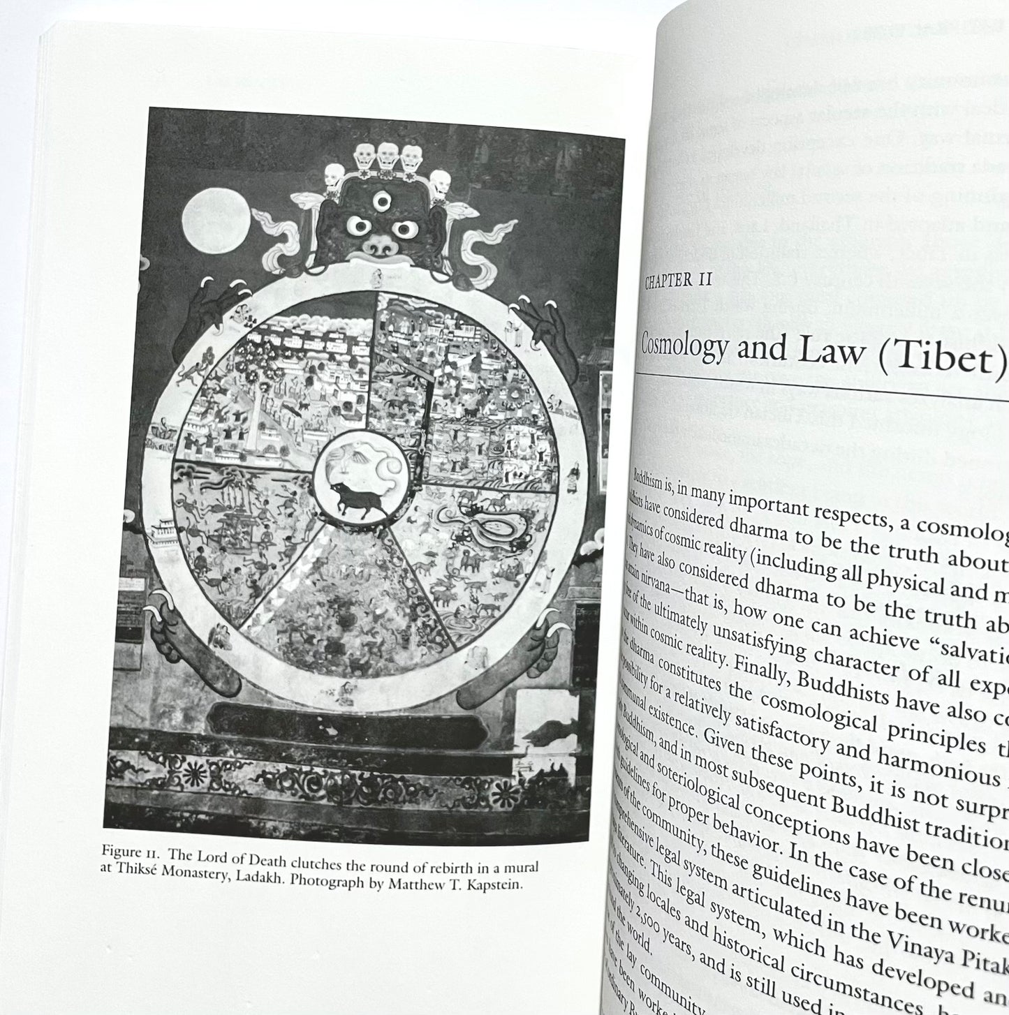 The Life of Buddhism