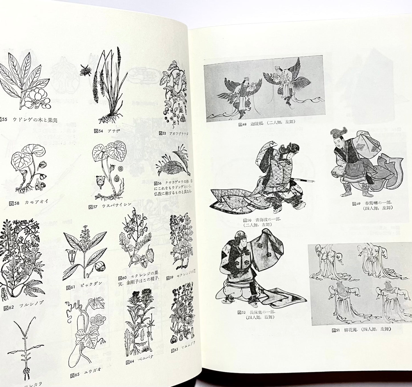 源氏物語 1 - 3 (日本古典文学大系)