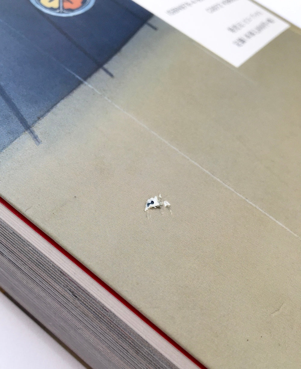 日本の図像 美人