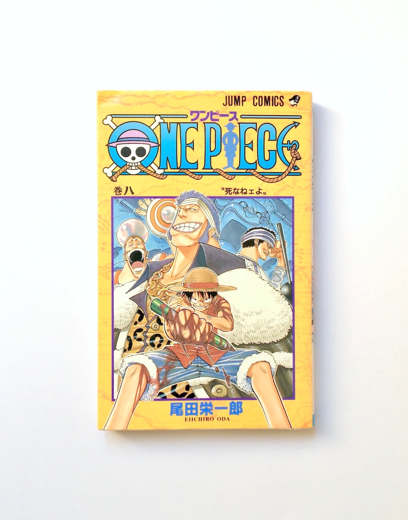 ONE PIECE (8)