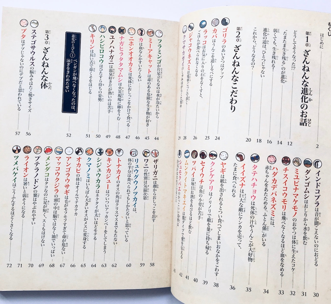 おもしろい! 進化のふしぎ 続ざんねんないきもの事典