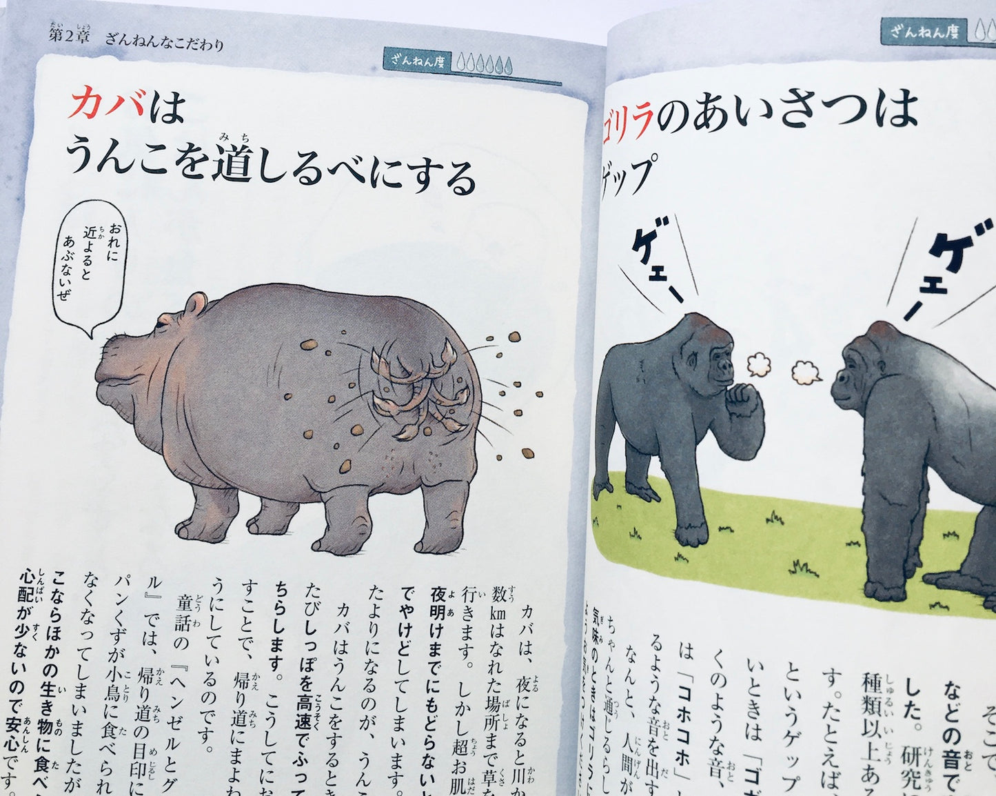 おもしろい! 進化のふしぎ 続ざんねんないきもの事典