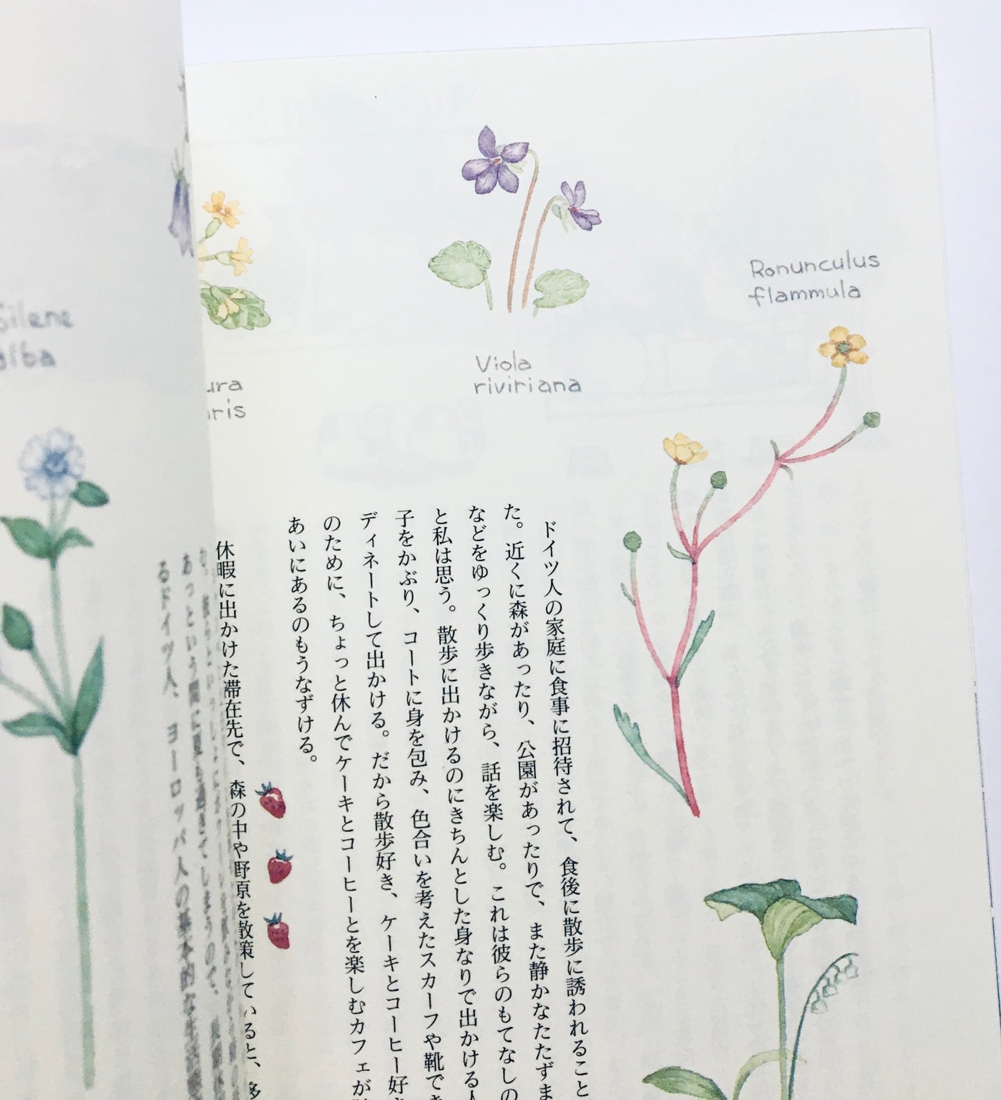 ドイツお菓子物語