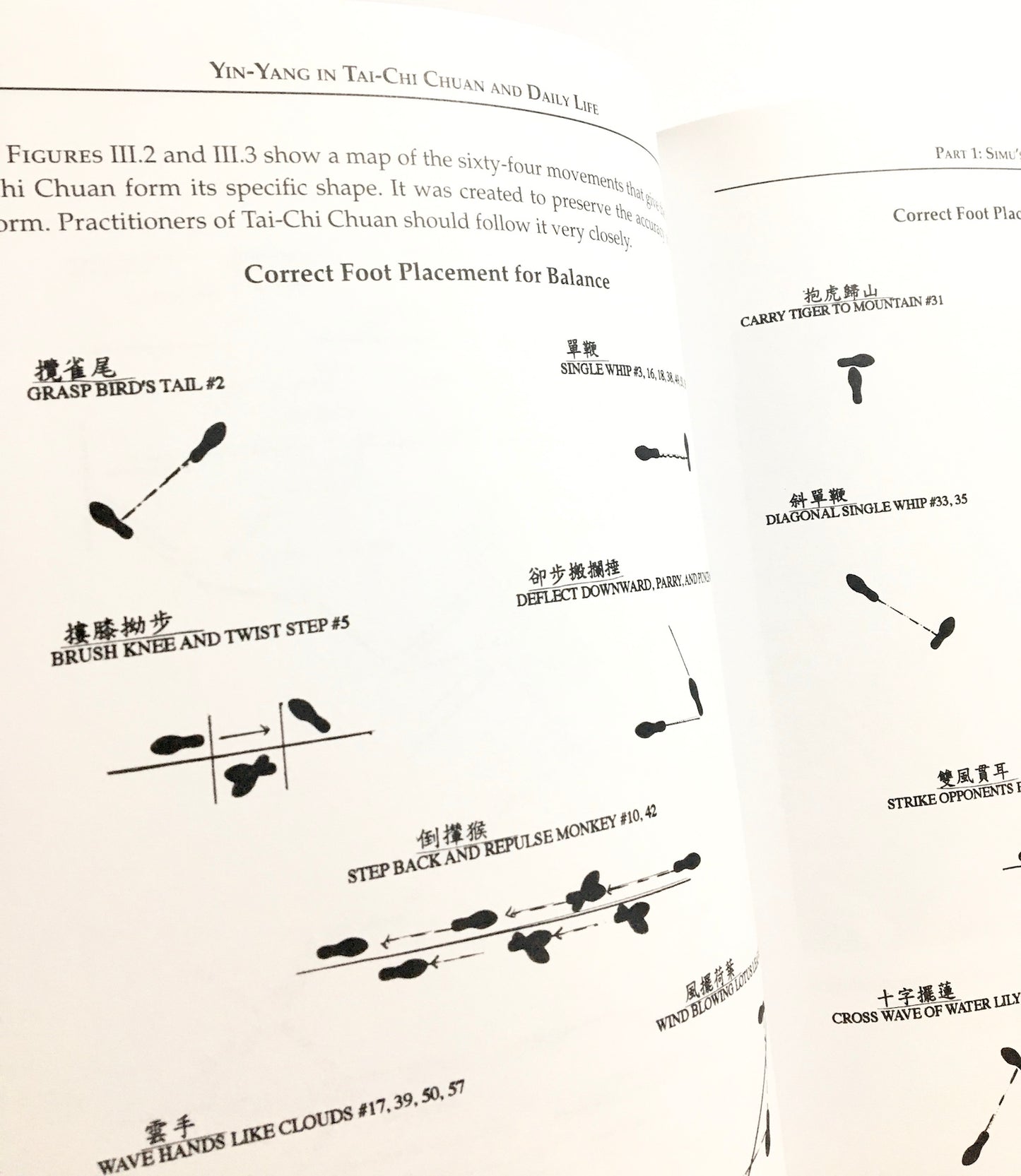 Yin-Yang in Tai-Chi Chuan and Daily Life