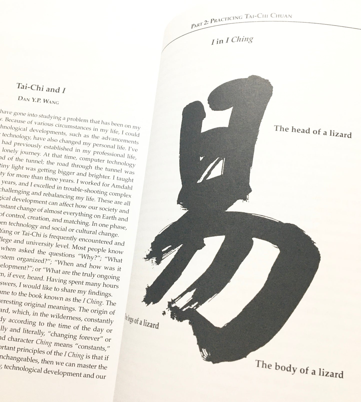 Yin-Yang in Tai-Chi Chuan and Daily Life