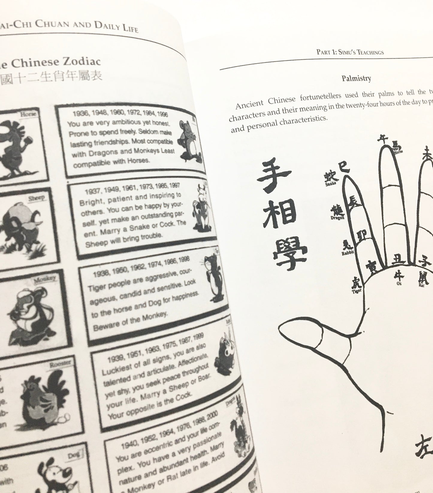 Yin-Yang in Tai-Chi Chuan and Daily Life