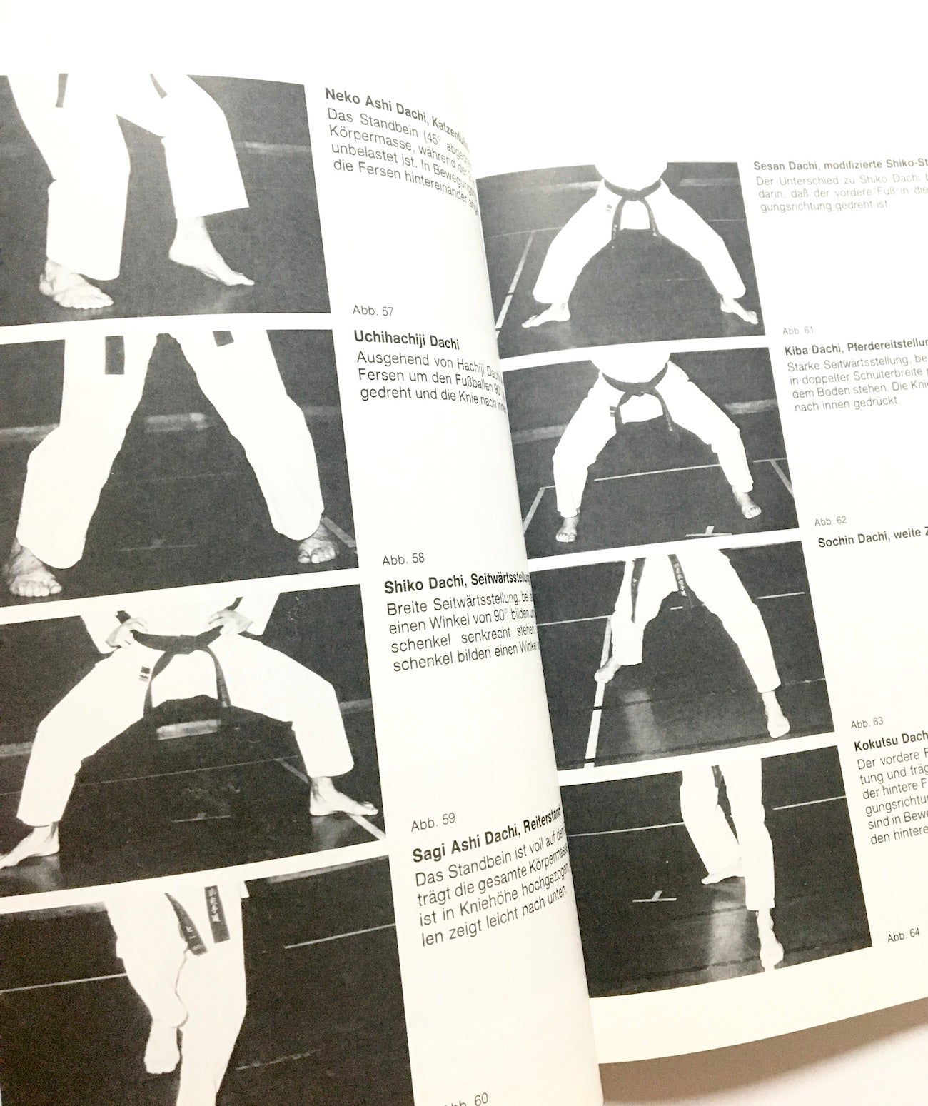 Goju-Ryu Karatedo : Geschichte, Weg und Ziel. Mit 600 Fotos und praktischen Beispielen.