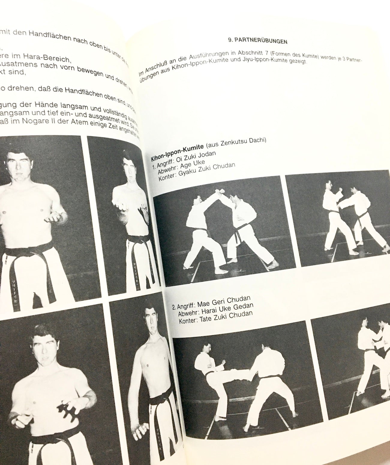Goju-Ryu Karatedo : Geschichte, Weg und Ziel. Mit 600 Fotos und praktischen Beispielen.