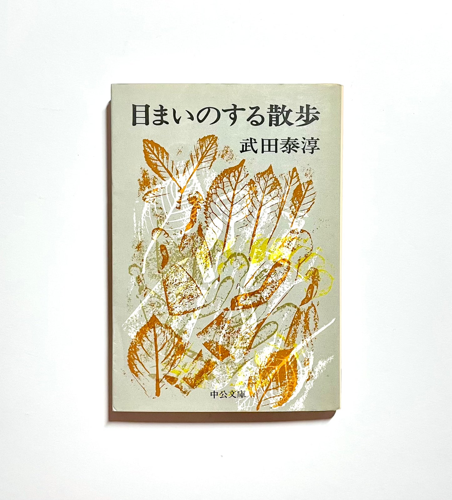 目まいのする散歩