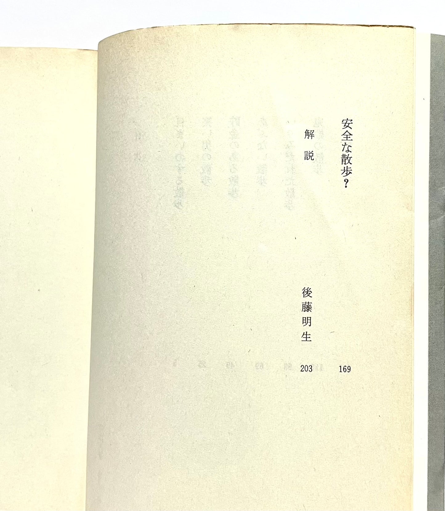 目まいのする散歩