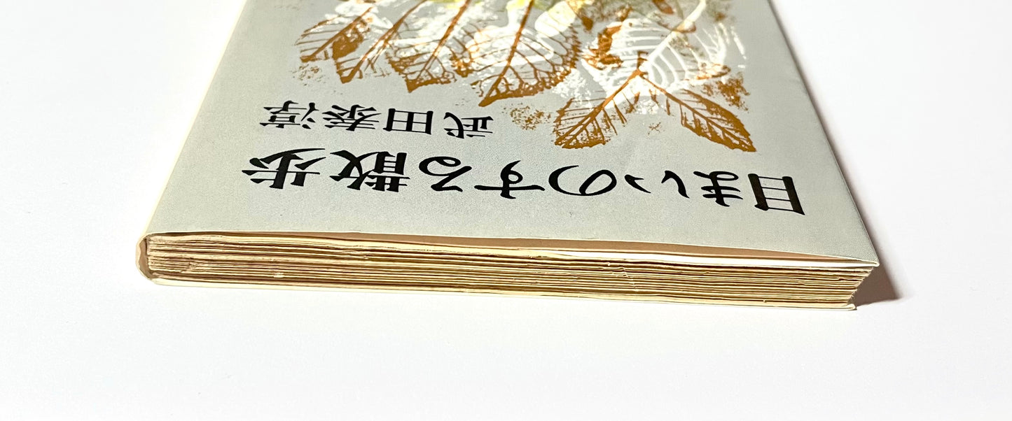 目まいのする散歩