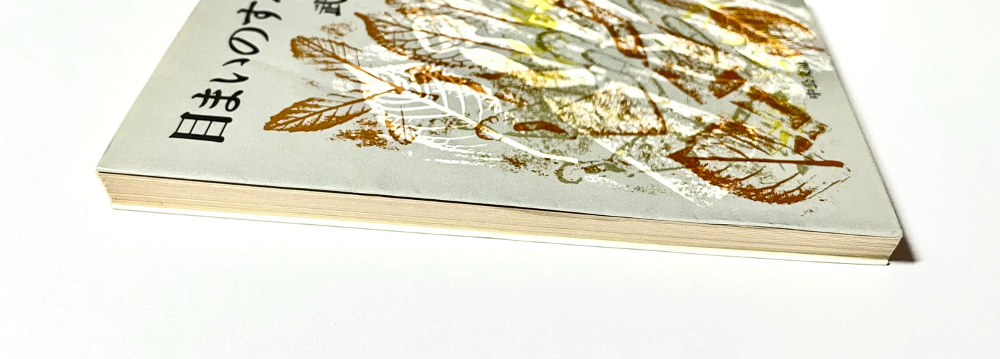 目まいのする散歩