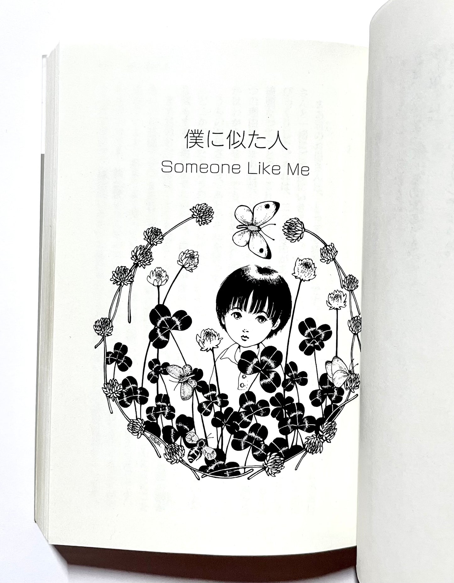 地球儀のスライス A SLICE OF TERRESTRIAL GLOBE