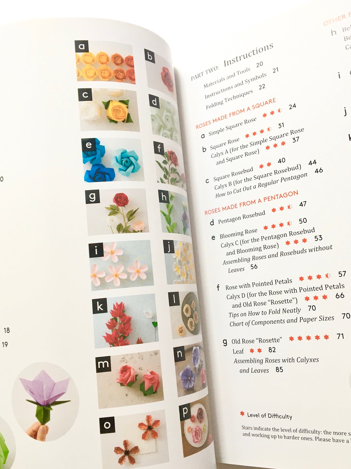 Naomiki Sato's Origami Roses: Create Lifelike Roses and Other Blossoms