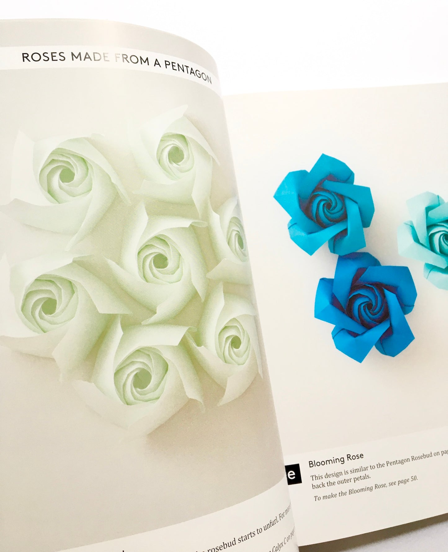 Naomiki Sato's Origami Roses: Create Lifelike Roses and Other Blossoms