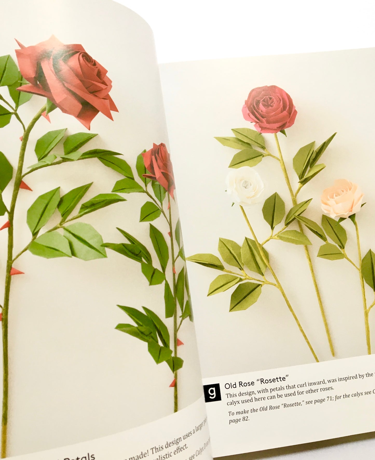 Naomiki Sato's Origami Roses: Create Lifelike Roses and Other Blossoms