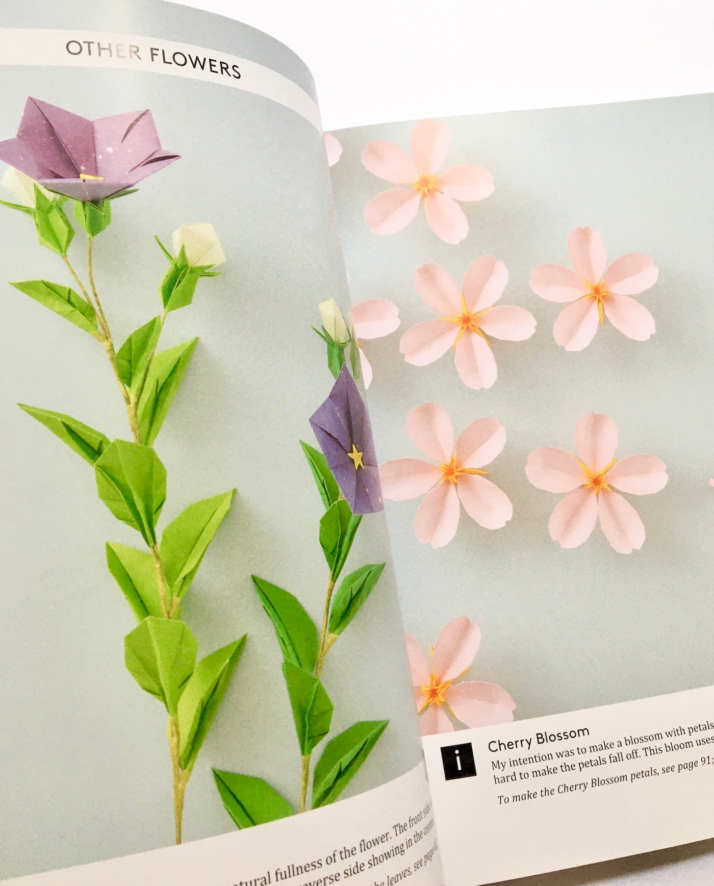 Naomiki Sato's Origami Roses: Create Lifelike Roses and Other Blossoms