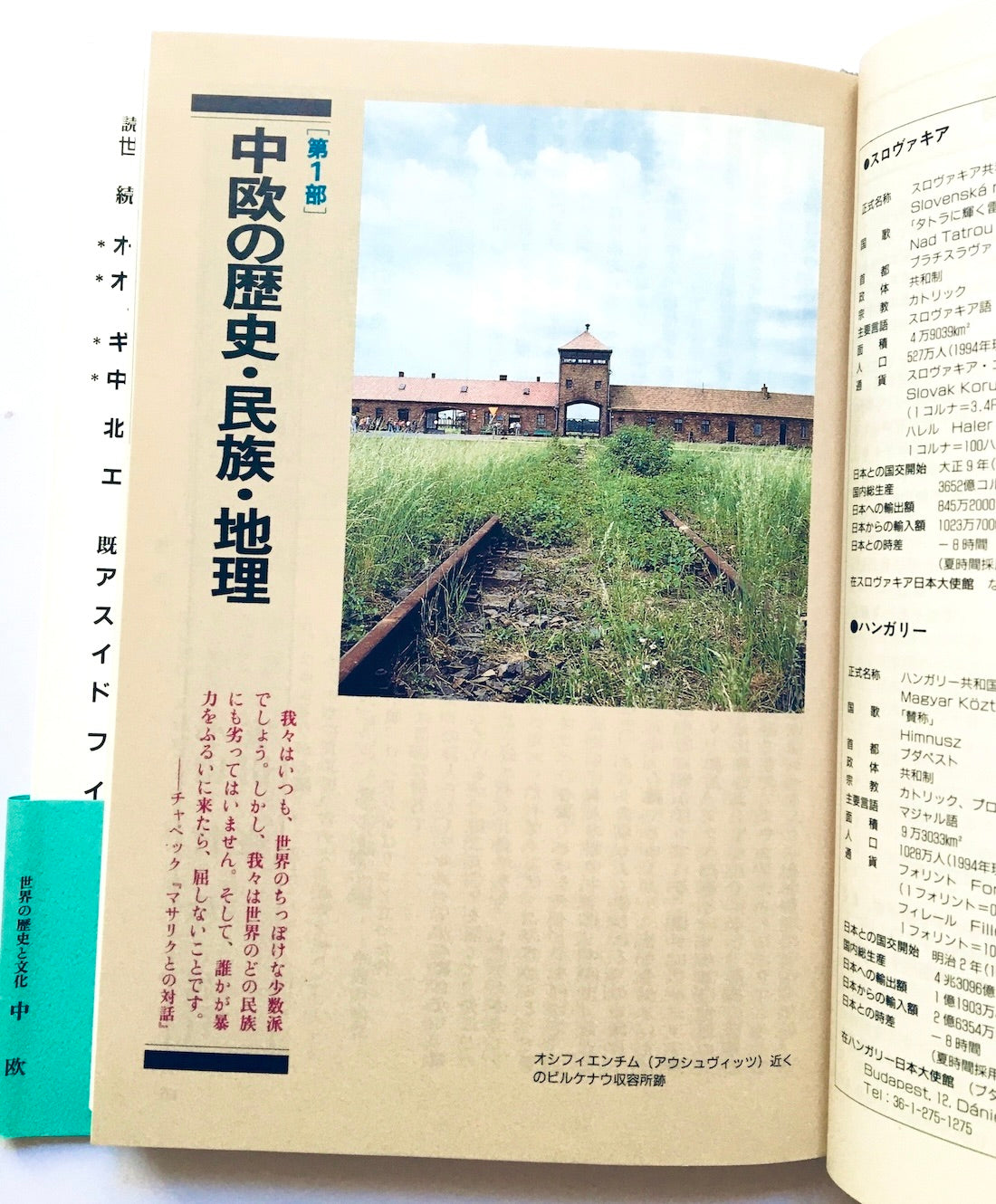 中欧: ポーランド・チェコ・スロヴァキア・ハンガリー/ 読んで旅する世界の歴史と文化