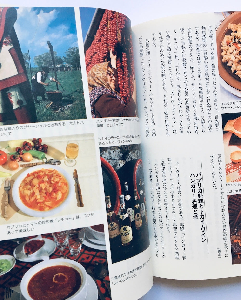 中欧: ポーランド・チェコ・スロヴァキア・ハンガリー/ 読んで旅する世界の歴史と文化