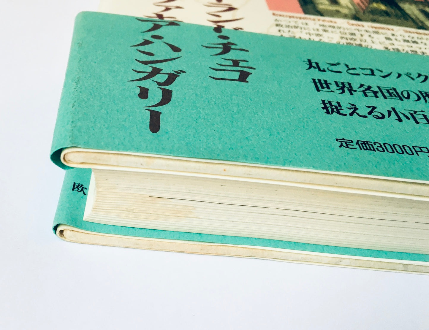 中欧: ポーランド・チェコ・スロヴァキア・ハンガリー/ 読んで旅する世界の歴史と文化