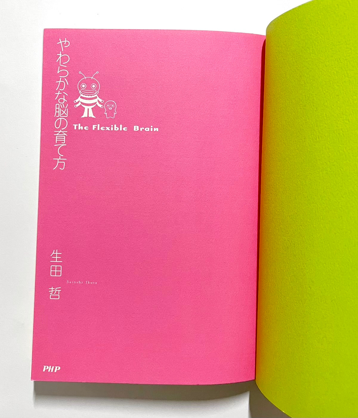 やわらかな脳の育て方―「頭のいい子」にするために親は何をすべきか